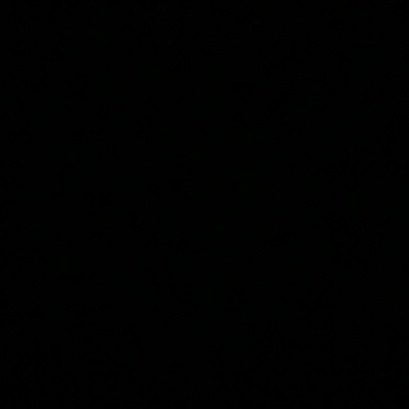 Brandy Melville Tops - sold